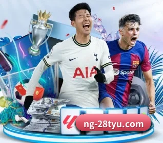 ng28 APP 界面